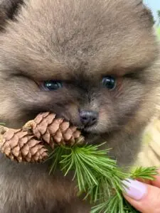 image02399