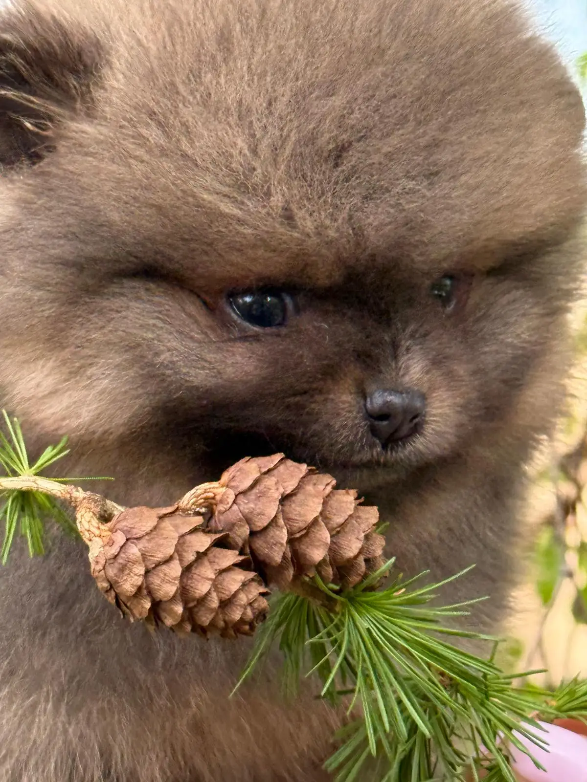 image02400